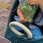2歳の子供が野菜を食べない!我が家は「お買い物同伴」作戦で克服中