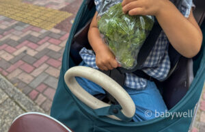 2歳の子供が野菜を食べない！我が家は「お買い物同伴」作戦で克服中